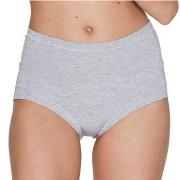 JBS of Denmark Trosor Bamboo Maxi Brief Ljusgrå X-Small Dam