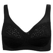 Damella BH Classic Soft Lace Bra Svart B 95 Dam