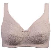 Damella BH Classic Soft Lace Bra Puder A 90 Dam