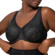 Triumph BH Wild Rose Sensation W01 Svart C 85 Dam