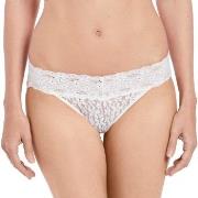 Wacoal Trosor Halo Lace Bikini Benvit nylon X-Large Dam