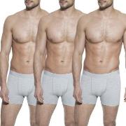 Bread and Boxers Boxer Briefs Kalsonger 3P Grå ekologisk bomull X-Larg...