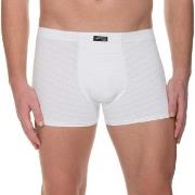 Bruno Banani Kalsonger Check Line 2.0 Shorts Vit polyamid Large Herr