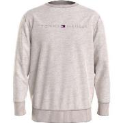 Tommy Hilfiger Icon Logo Relaxed Fit Sweatshirt Beige Large Herr