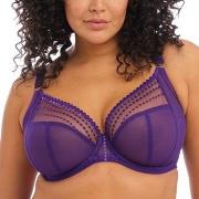 Elomi BH Matilda Underwired Plunge Bra Lila J 80 Dam