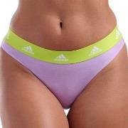 adidas Trosor 3P Sport Cotton Logo Thong Lila/Svart bomull Medium Dam