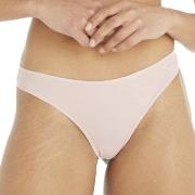 Calvin Klein Trosor Sheer Marquisette Thong Ljusrosa X-Large Dam