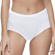 JBS of Denmark Trosor Bamboo Maxi Brief Vit XX-Large Dam