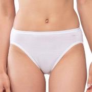 Mey Trosor Lights Jazz Briefs Vit 42 Dam