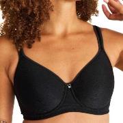 Swegmark BH Adamo Shape Padded Cup Wire Bra Svart polyamid B 75 Dam