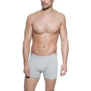 Bread and Boxers Boxer Brief Kalsonger 3P Grå ekologisk bomull Large H...