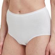 Decoy Trosor 5P Maxi Briefs Vit ekologisk bomull Large Dam