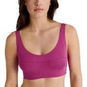 Calida BH Elastic Top Chock Rosa bomull X-Small Dam