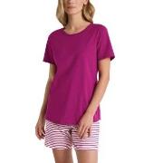 Calida Marine Dreams Short Pyjamas Rosa Mönstrad bomull Large Dam