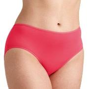 Miss Mary Soft Panty Trosor Korall 2XL Dam