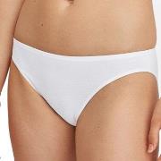 Calida Trosor Essential Cotton Low Cut Brief Vit bomull X-Small Dam