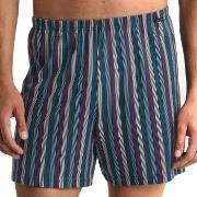 Calida Kalsonger Prints Cotton Boxer Shorts Randig bomull X-Large Herr