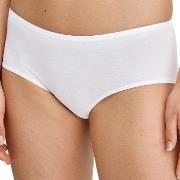 Calida Trosor Essential Cotton Hipster Panty Vit bomull Medium Dam