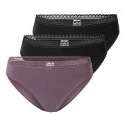 Schiesser Trosor 3P Modern Lace Rio Briefs Lila/Svart bomull 42 Dam