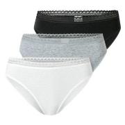 Schiesser Trosor 3P Modern Lace Rio Briefs Flerfärgad bomull 46 Dam