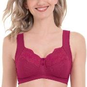Anita BH Orely Support Bra Cherry nylon E 90 Dam
