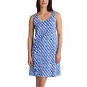 Calida Shell Nights Nightdress Blå/Vit bomull X-Small Dam
