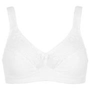 Damella BH Felice Soft Bra Vit bomull F 80 Dam