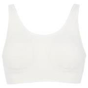 Damella BH Zoe Soft Bra Vit polyamid XS/S Dam