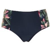 Missya Milano Bikini Maxi Brief Blå/Rosa 46 Dam