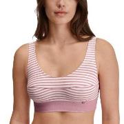 Calida BH Elastic Top Rosa randig bomull Small Dam