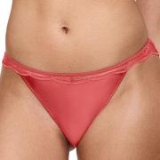 Triumph Trosor Crazy Stupid Love Highleg Tai Röd 40 Dam