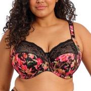 Elomi BH Morgan Banded Bra Blommig K 70 Dam