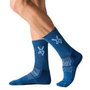 Seger Strumpor Glide Wool Ski Socks Marin/Blå Strl 37/39