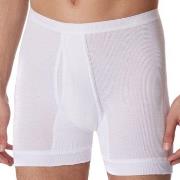 Schiesser Kalsonger Original Classics Underpants 3XL-6XL Vit bomull 4X...