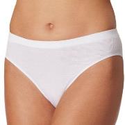 Schiesser Trosor Pure Rib Organic Cotton Rio Briefs Vit 44 Dam