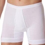 Schiesser Kalsonger Fine Rib Underpants 3XL-6XL Vit bomull 4XL Herr