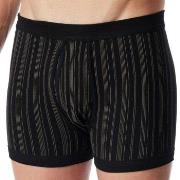 Schiesser Kalsonger 2P Original Classics Boxers 3XL-4XL Svart bomull 4...