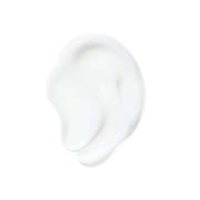 Aveda Nutriplenish Daily Moisturizing Treatment 150ml