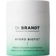 Dr Brandt Hydro Biotic Prebiotic Recovery Sleeping Mask Hydro Biotic R...