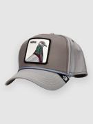 Goorin Bros Pigeon 100 Keps grey