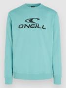 O'Neill Logo Tröja ripling shores