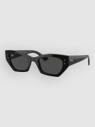 Ray-Ban Zena Black Solglasögon dark grey