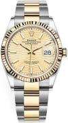 Rolex Damklocka 126233-0040 Datejust 36 Gulguldstonad/18 karat gult