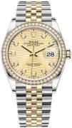 Rolex Damklocka 126283RBR-0031 Datejust 36 Gulguldstonad/18 karat