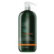 Paul Mitchell Tea Tree Special Color Shampoo 1000 ml