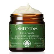 Antipodes Lime Caviar Collagen-Rich Firming Cream 60 ml