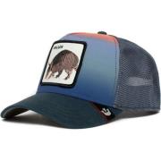 Goorin Bros Stiliga Caps Kollektion Blue, Unisex