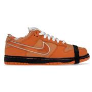 Nike Orange Lobster Sneakers Orange, Herr