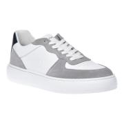 Baldinini Sneaker in grey suede Gray, Herr