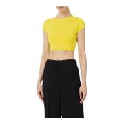 Elisabetta Franchi Stickad Topp Mk05B42E2 Yellow, Dam